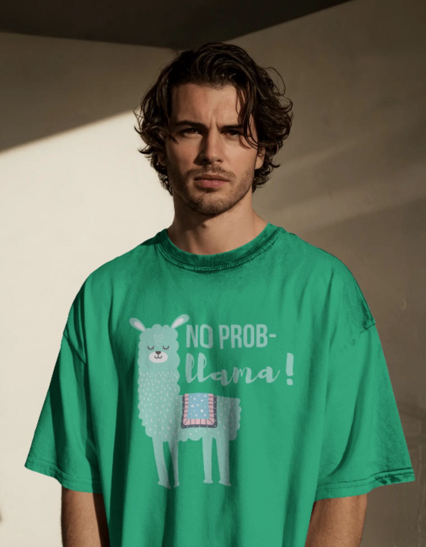 Llama T Shirt